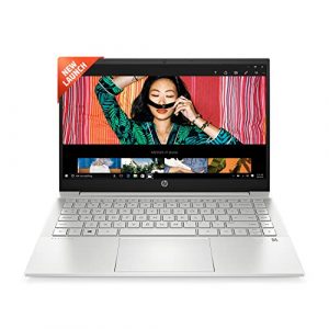 HP Pavilion 14, 11th Gen Intel Core i7-16GB RAM/1TB SSD 14 inch(35.6 cm) Laptop/Intel Iris Xe Graphics/Backlit Keyboard/Alexa/B&O Audio/Fast Charge/FPR/Win 11/MS Office, 14-dv1029TU,Natural Silver